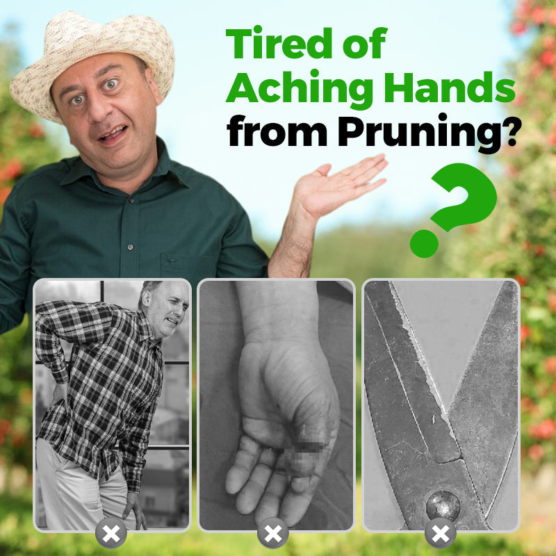 Hausen Electric Pruning Shears